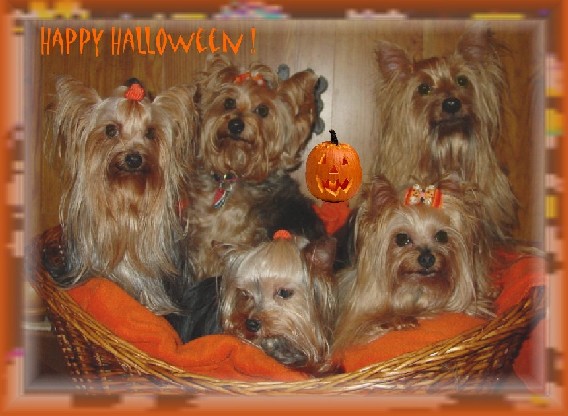 HAPPY HALLOWEEN!! ~~My Crew, 2005~~Photo by Brandohl Productions, Copyright 2006;  All Rights Reserved.