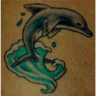 ~Dolphin Tattoo~