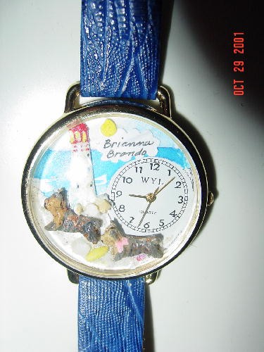 ~Custom made watch, featuring Brando & Brianna~