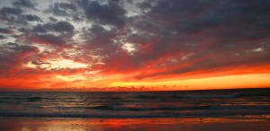 IMG_6988Cs