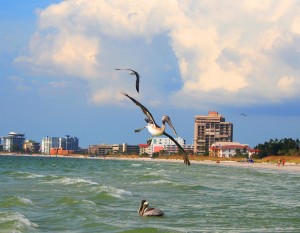 IMG_8230Csm